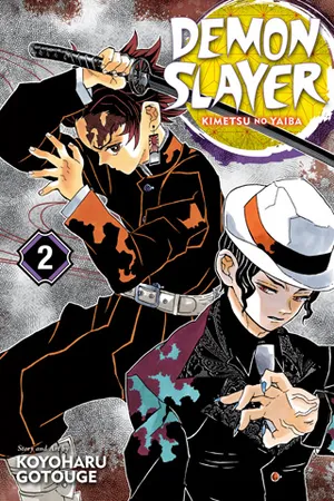 Demon Slayer: Kimetsu no Yaiba, Vol. 2 cover